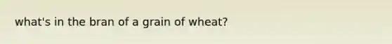 what's in the bran of a grain of wheat?