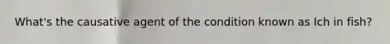 What's the causative agent of the condition known as Ich in fish?