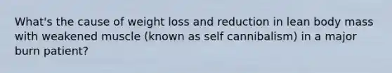 What's the cause of weight loss and reduction in lean body mass with weakened muscle (known as self cannibalism) in a major burn patient?