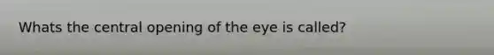 Whats the central opening of the eye is called?