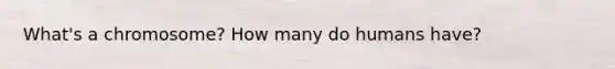 What's a chromosome? How many do humans have?