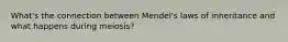 What's the connection between Mendel's laws of inheritance and what happens during meiosis?