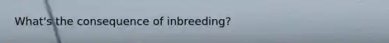 What's the consequence of inbreeding?