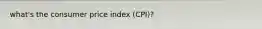 what's the consumer price index (CPI)?