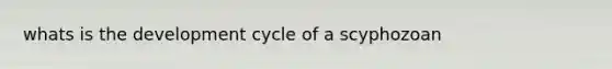 whats is the development cycle of a scyphozoan