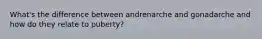 What's the difference between andrenarche and gonadarche and how do they relate to puberty?