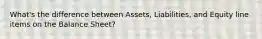 What's the difference between Assets, Liabilities, and Equity line items on the Balance Sheet?