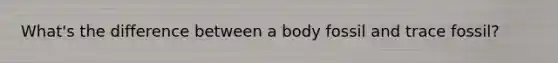 What's the difference between a body fossil and trace fossil?