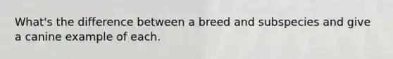 What's the difference between a breed and subspecies and give a canine example of each.