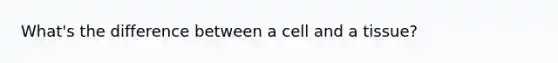 What's the difference between a cell and a tissue?