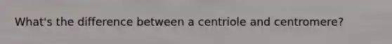 What's the difference between a centriole and centromere?