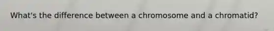 What's the difference between a chromosome and a chromatid?