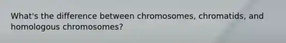 What's the difference between chromosomes, chromatids, and homologous chromosomes?