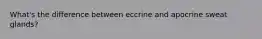 What's the difference between eccrine and apocrine sweat glands?