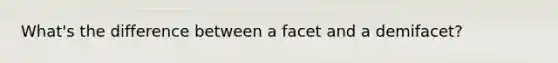 What's the difference between a facet and a demifacet?