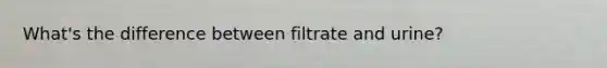 What's the difference between filtrate and urine?