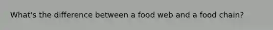 What's the difference between a food web and a food chain?