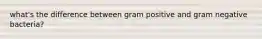 what's the difference between gram positive and gram negative bacteria?