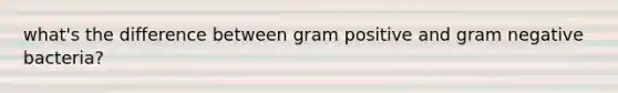 what's the difference between gram positive and gram negative bacteria?