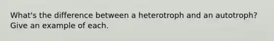 What's the difference between a heterotroph and an autotroph? Give an example of each.