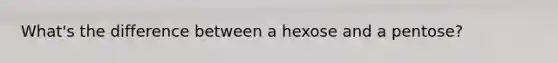 What's the difference between a hexose and a pentose?