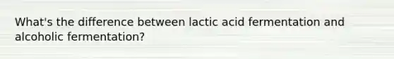 What's the difference between lactic acid fermentation and alcoholic fermentation?
