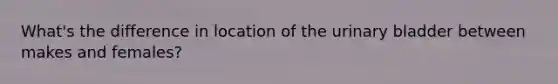 What's the difference in location of the urinary bladder between makes and females?