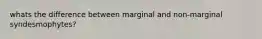 whats the difference between marginal and non-marginal syndesmophytes?