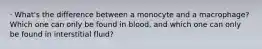 · What's the difference between a monocyte and a macrophage? Which one can only be found in blood, and which one can only be found in interstitial fluid?