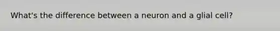 What's the difference between a neuron and a glial cell?