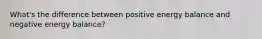 What's the difference between positive energy balance and negative energy balance?