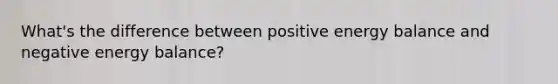 What's the difference between positive energy balance and negative energy balance?