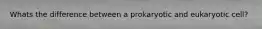 Whats the difference between a prokaryotic and eukaryotic cell?