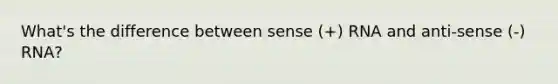 What's the difference between sense (+) RNA and anti-sense (-) RNA?