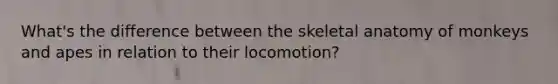 What's the difference between the skeletal anatomy of monkeys and apes in relation to their locomotion?