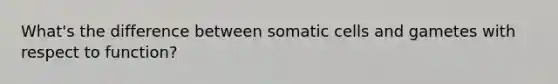 What's the difference between somatic cells and gametes with respect to function?