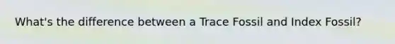 What's the difference between a Trace Fossil and Index Fossil?
