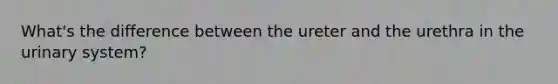 What's the difference between the ureter and the urethra in the urinary system?