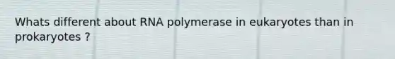 Whats different about RNA polymerase in eukaryotes than in prokaryotes ?