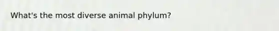 What's the most diverse animal phylum?