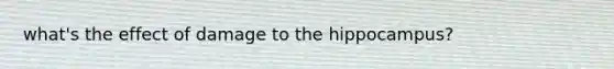 what's the effect of damage to the hippocampus?