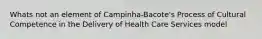 Whats not an element of Campinha-Bacote's Process of Cultural Competence in the Delivery of Health Care Services model