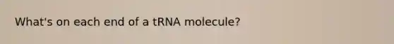 What's on each end of a tRNA molecule?