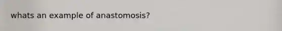 whats an example of anastomosis?