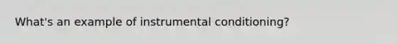 What's an example of instrumental conditioning?