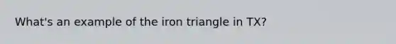 What's an example of the iron triangle in TX?