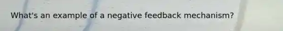 What's an example of a negative feedback mechanism?