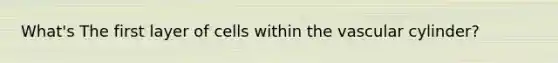 What's The first layer of cells within the vascular cylinder?