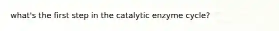 what's the first step in the catalytic enzyme cycle?