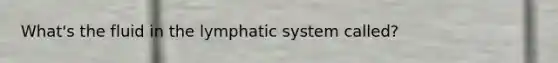 What's the fluid in the lymphatic system called?